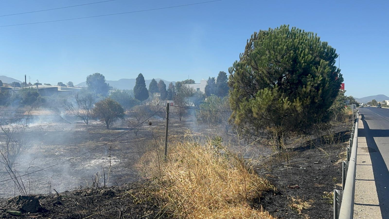 Alevler benzinliği tehdit ediyordu! O yangın kontrol altında