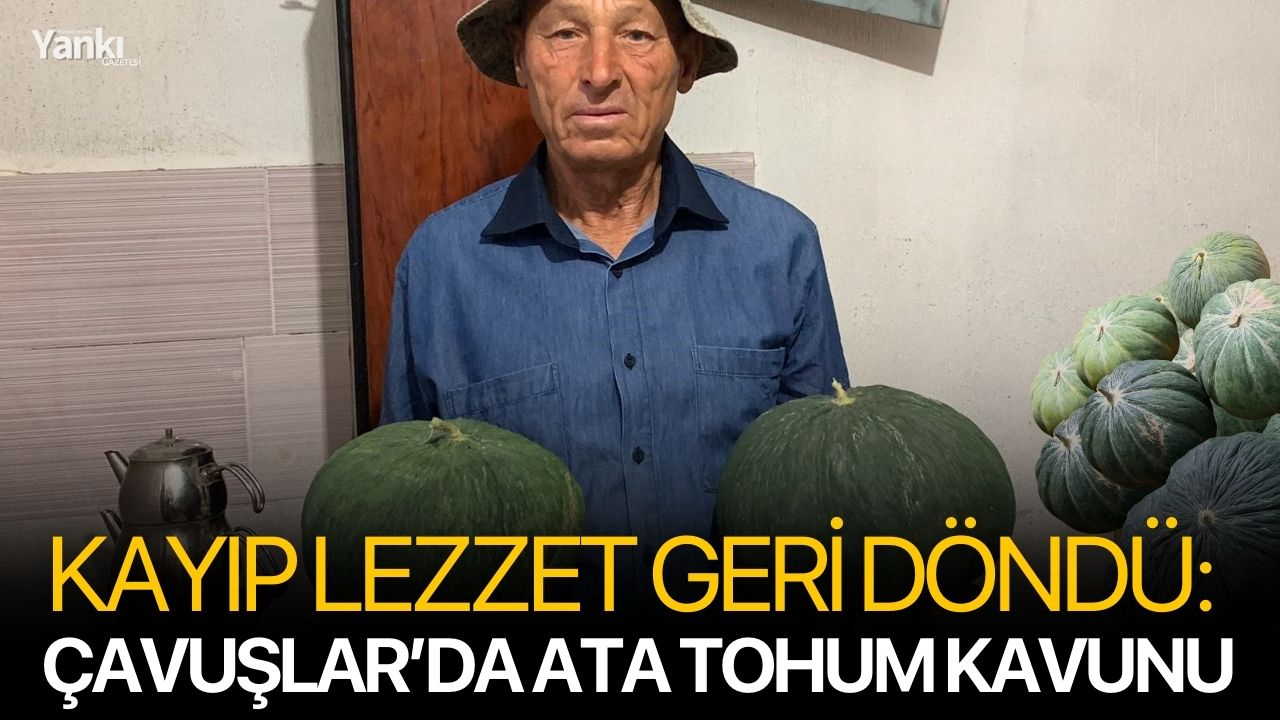 Kayıp Lezzet Geri Döndü: Çavuşlar’da Ata Tohum Kavunu
