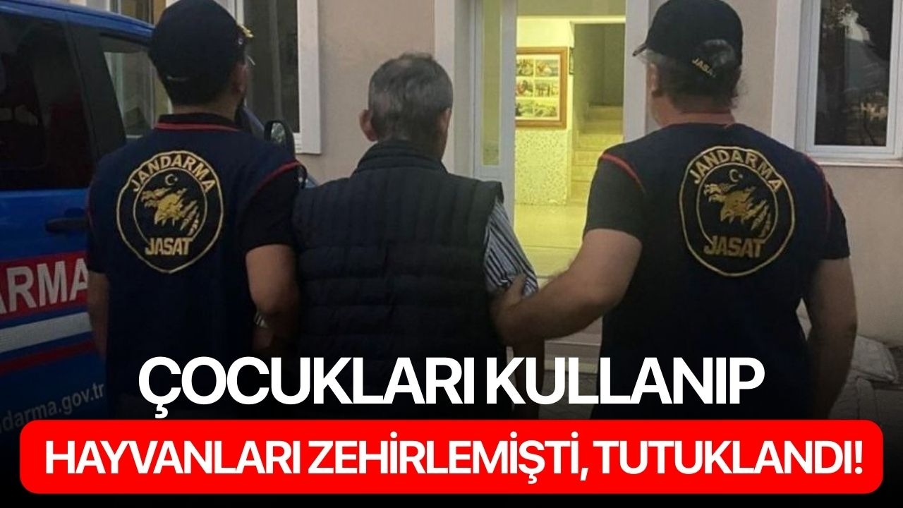 Çocukları kullanıp hayvanları zehirlemişti, tutuklandı!