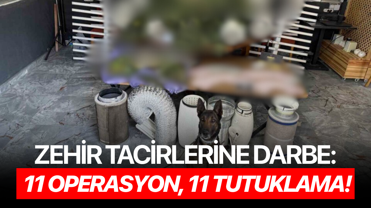 Zehir tacirlerine darbe: 11 operasyon, 11 tutuklama!