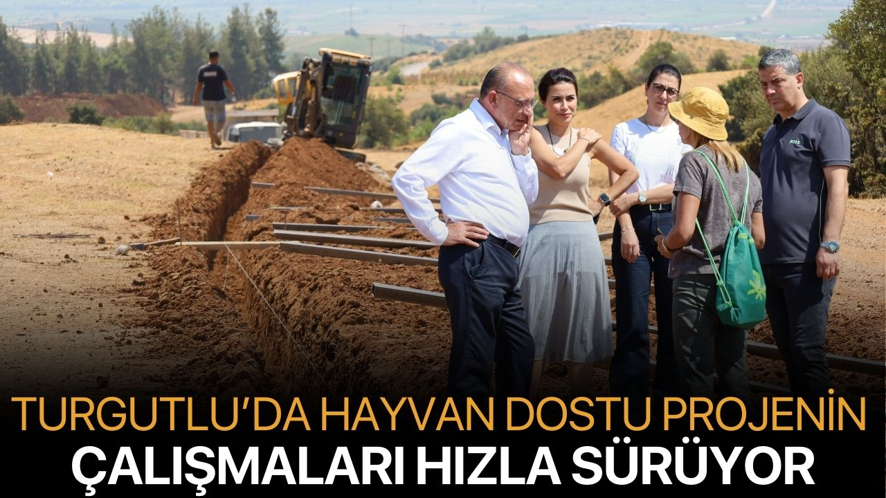 Turgutlu’da Hayvan Dostu Projenin Çalışmaları Hızla Sürüyor