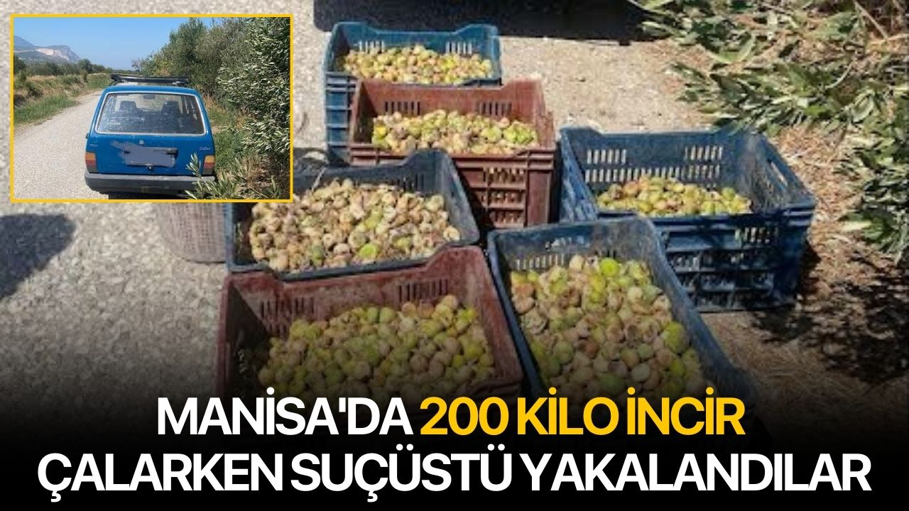 Manisa'da 200 Kilo İncir Çalarken Suçüstü Yakalandılar