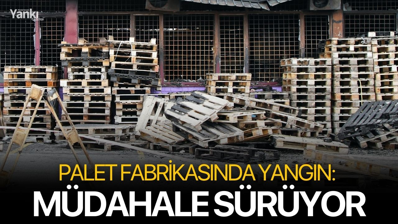 Palet fabrikasında yangın: Müdahale sürüyor