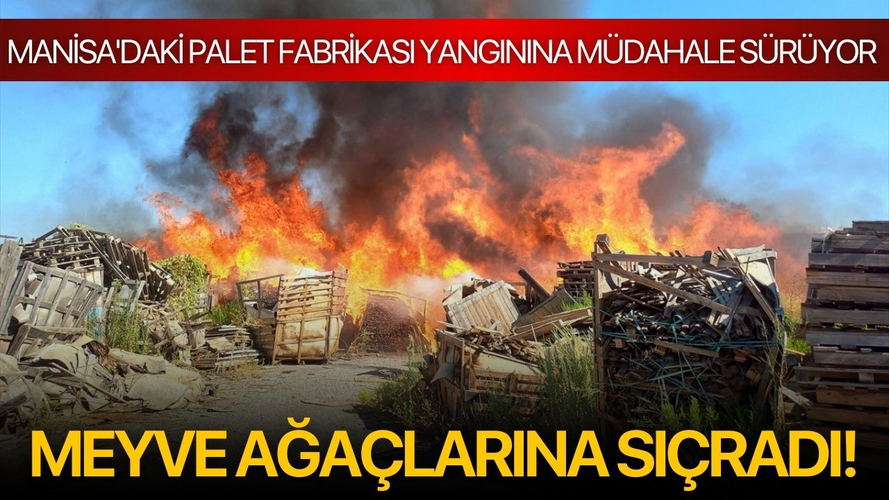 Manisa'daki palet fabrikası yangınına müdahale sürüyor: Meyve ağaçlarına sıçradı!