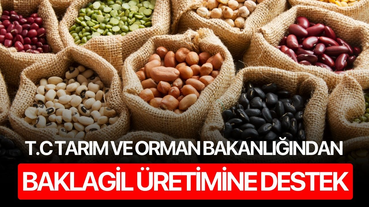 T.C Tarım ve Orman Bakanlığından baklagil üretimine destek