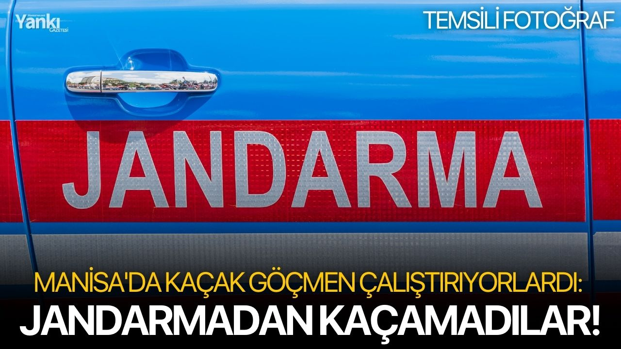 Manisa'da kaçak göçmen çalıştırıyorlardı: Jandarmadan kaçamadılar!
