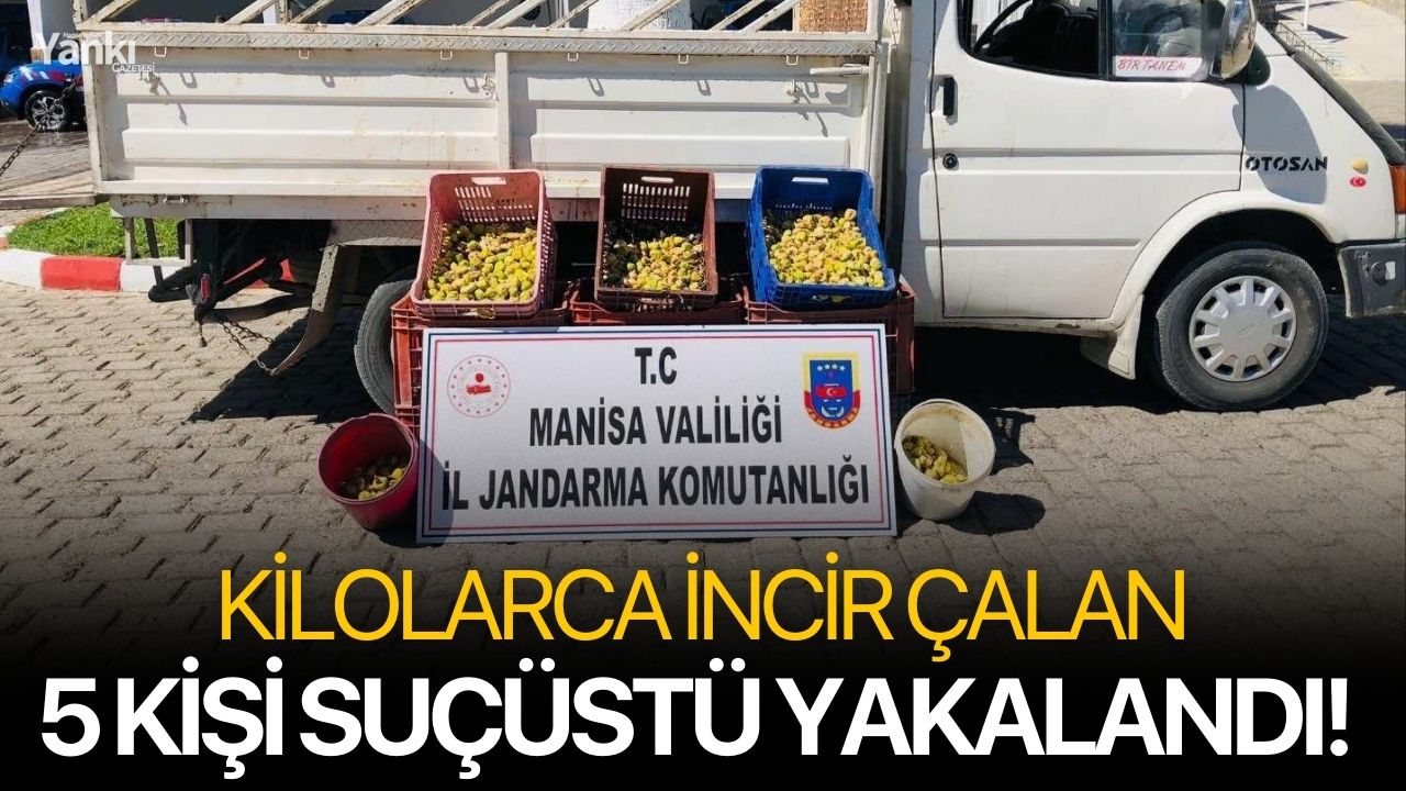 Kilolarca incir çalan 5 kişi suçüstü yakalandı!