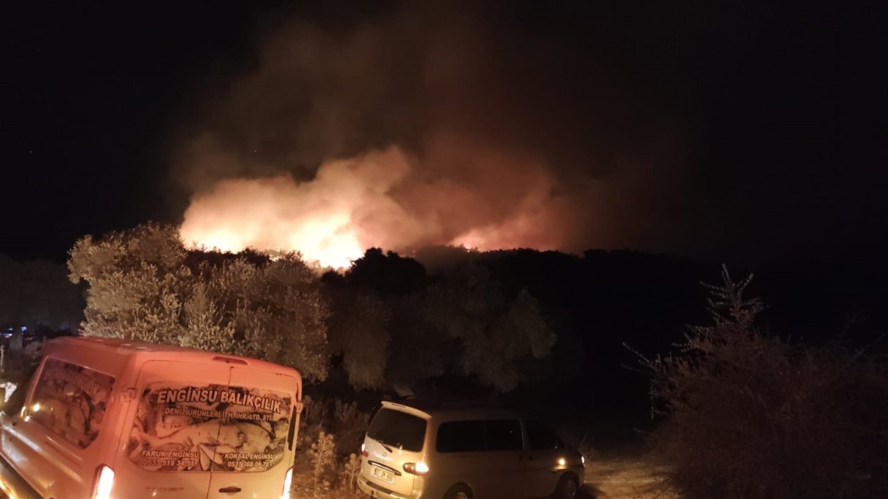 Milas’ta orman yangını