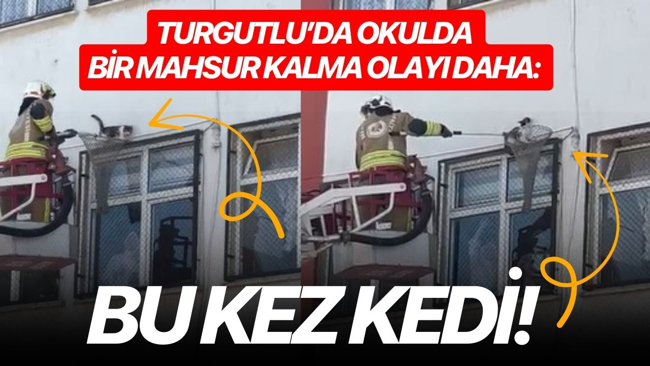 Turgutlu’da okulda bir mahsur kalma olayı daha: Bu Kez Kedi!