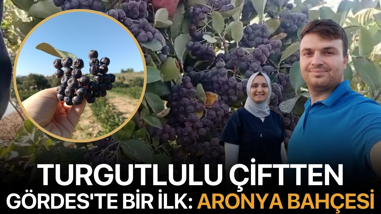 Turgutlulu çiftten Gördes'te bir ilk: Aronya bahçesi