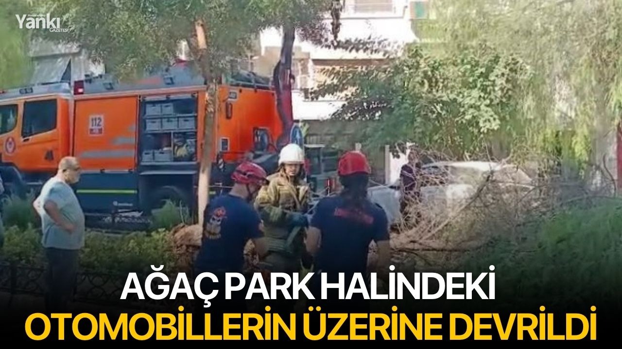 Ağaç park halindeki otomobillerin üzerine devrildi