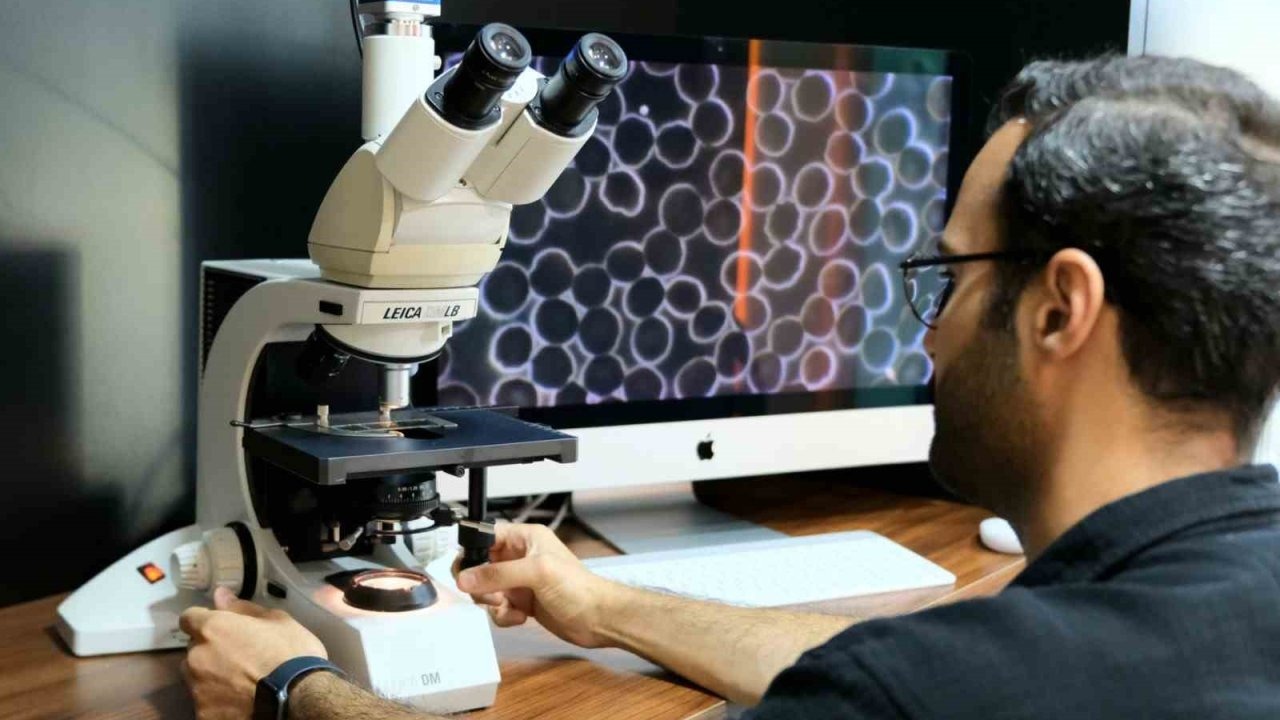 Hastalıklar, kök sebebi hedeflenerek tedavi edilecek