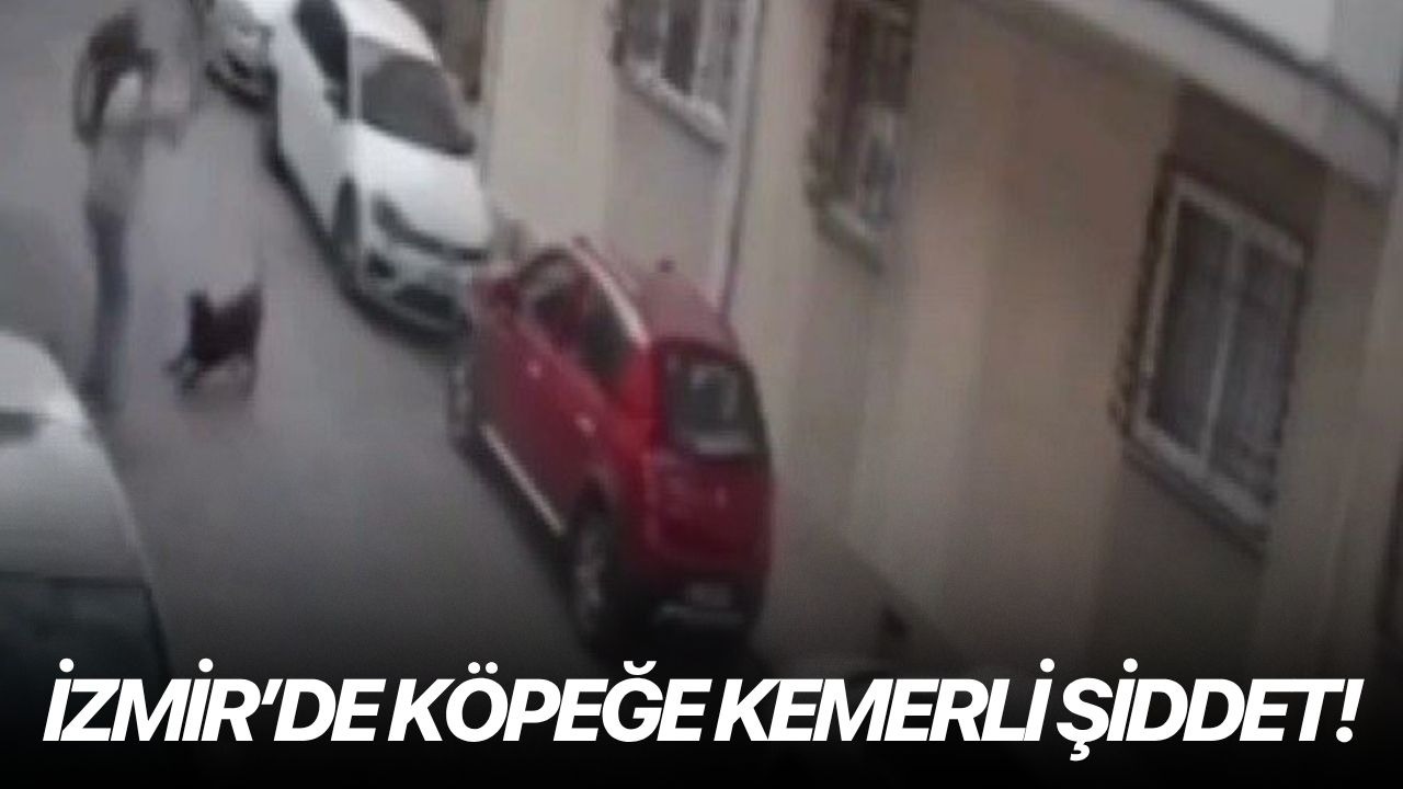 İzmir’de köpeğe kemerli şiddet!