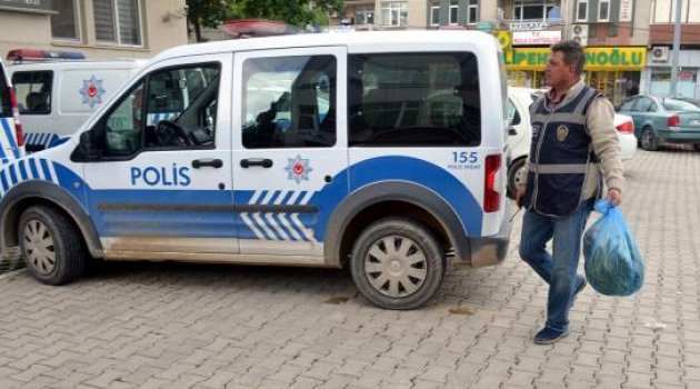 38 kök hintkeneviri ele geçirildi