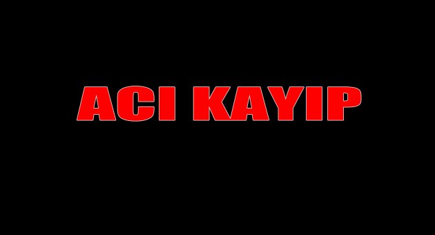 Acı kayıp