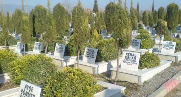 Acı kayıp