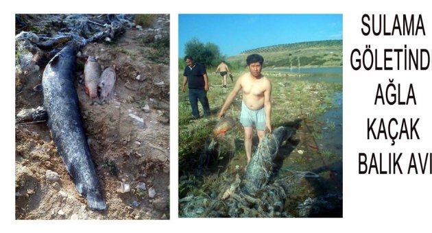 Ağla kaçak balık avı
