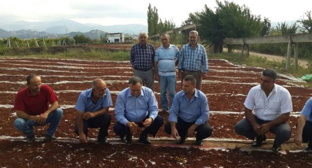 Akçay:Yaş üzüm 12 yıl önceki fiyatlara satılıyor