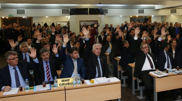 AKP Fire Verdi