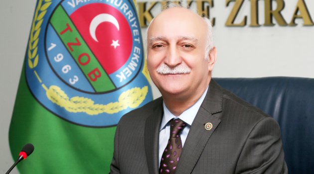 Ayvada hasat zamanı