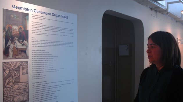 Bağışlanan Organ Filizlenen Candır