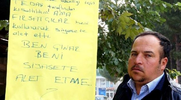 Budanan çınar tartışma konusu oldu