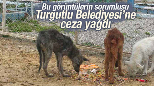Bunun hesabını kim verecekk ?