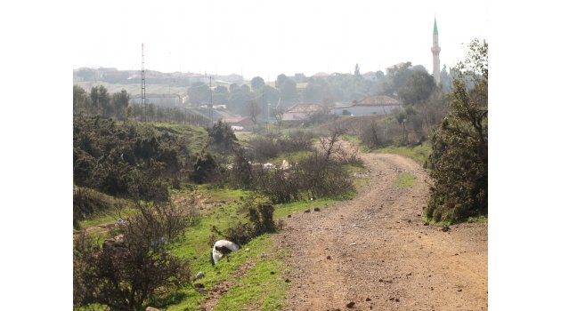 Çampınar’da ıslah çalışmalarına başlandı