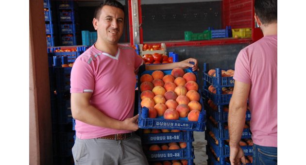 Domates ve şeftali bolluğu