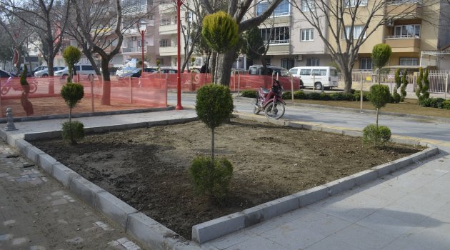 Gardalya sokak bitiyor