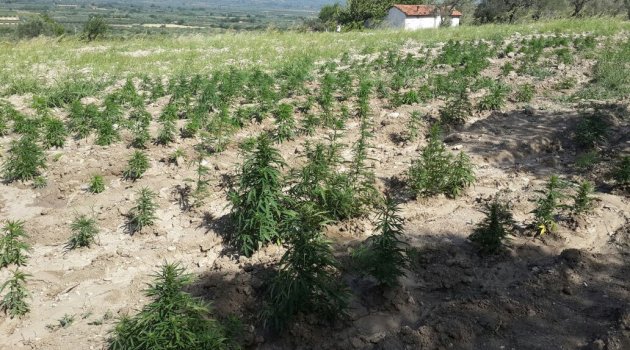 Jandarma "keşlere" göz açtırmıyor