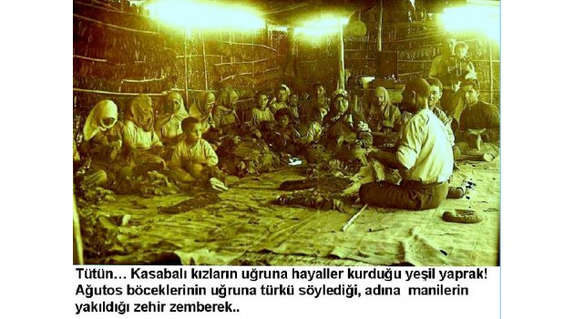 Kasaba’da tütün
