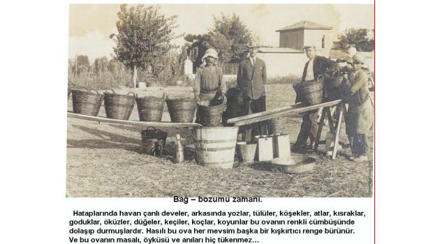 Kasaba Ovası