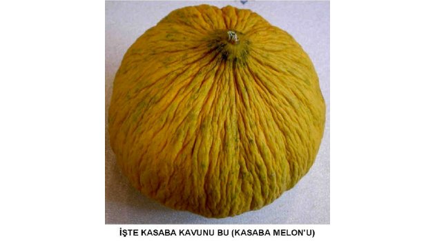 Kasaba'nın kavunları