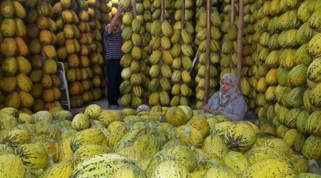 Kırkağaç kavunları kışa hazır