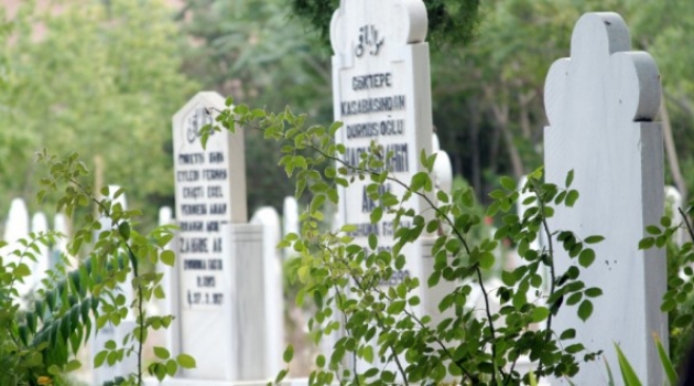 Acı Kayıp