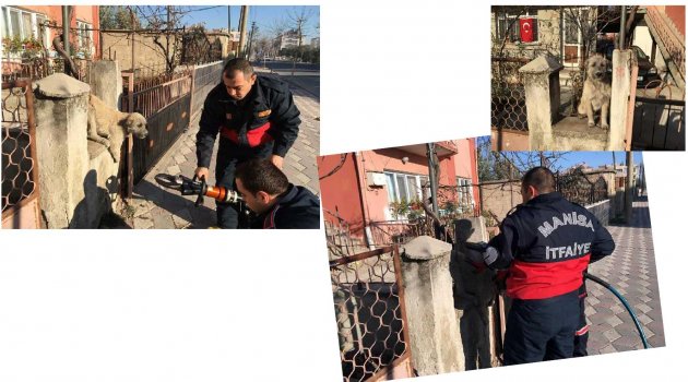 Sıkışan sokak köpeği, itfaiye ekipleri tarafından kurtarıldı.
