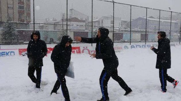Manisa BŞB kara takıldı