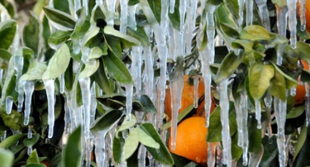 Meteoroloji zirai dona karşı uyardı