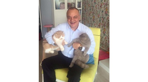 MHP'li Ergün'ün kedili fotoğrafları sosyal medyada