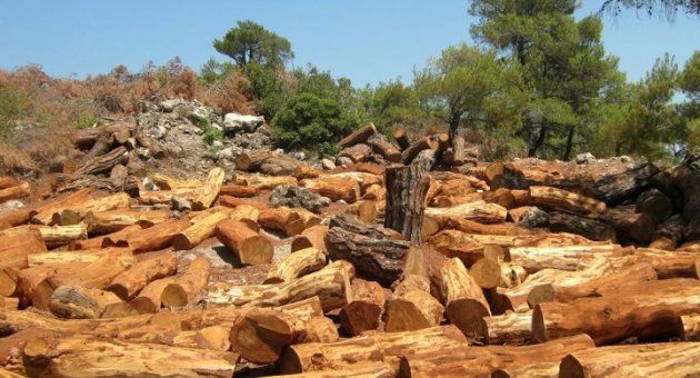 Nikel projesine Çevre ve Şehircilik Bakanlığı'ndan onay çıktı