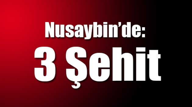 Nusaybin'den kahreden haber!