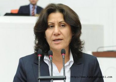 Öğretmen Adaylarının Kadro Talebi Yankı Buluyor: