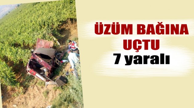 Otomobil üzüm bağına uçtu: 7 yaralı