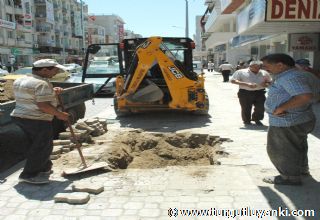 Atatürk Bulvarı Palmiyeleniyor