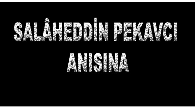 SALÂHEDDİN PEKAVCI ANISINA
