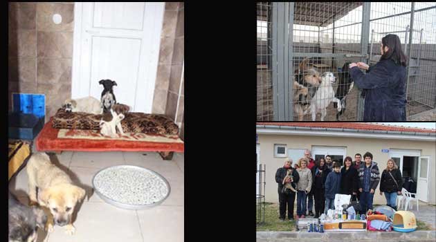Sevimli dostlara ısıtıcı ve mama desteği