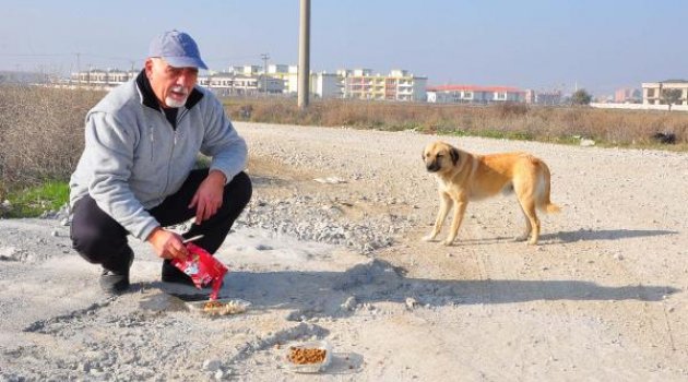 Sokak hayvanları yolunu gözlüyor