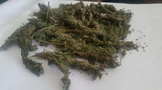 Son 2 ayda 38 zehir taciri tutuklandı