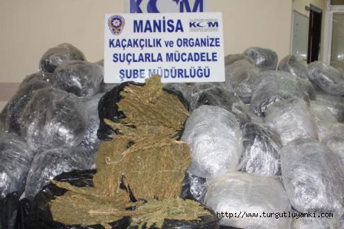 TIRla 715 kilo esrar sevkiyatı polise takıldı
